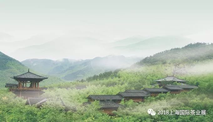 富硒藤茶价格是多少(富硒藤茶的功效与作用)-硒宝网