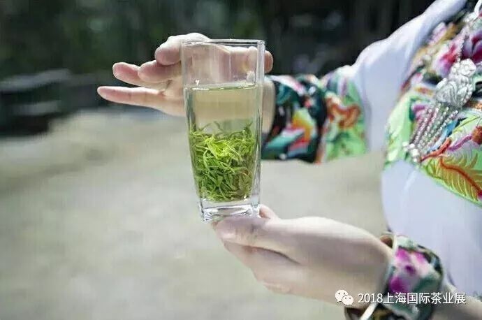 富硒藤茶价格是多少(富硒藤茶的功效与作用)-硒宝网