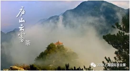 富硒藤茶价格是多少(富硒藤茶的功效与作用)-硒宝网