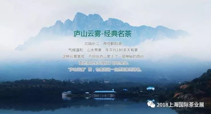 富硒藤茶价格是多少(富硒藤茶的功效与作用)-硒宝网