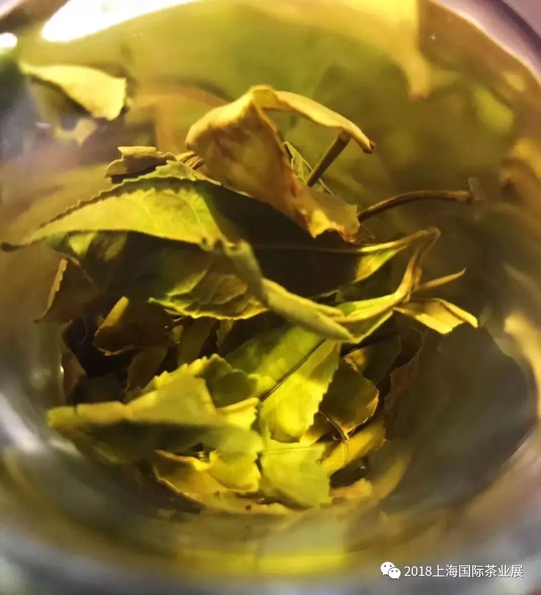 富硒藤茶价格是多少(富硒藤茶的功效与作用)-硒宝网