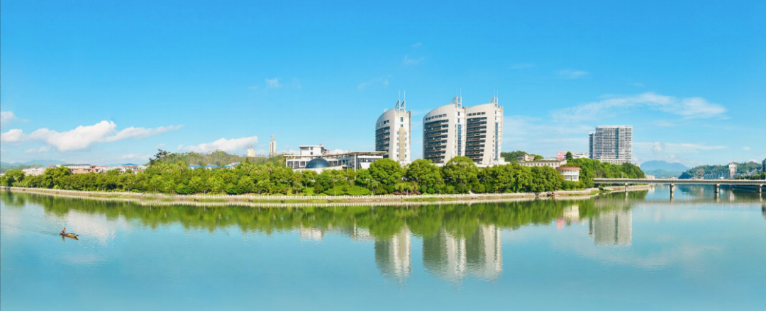 莲花茶叶高山富硒茶（莲花山茶种）-硒宝网