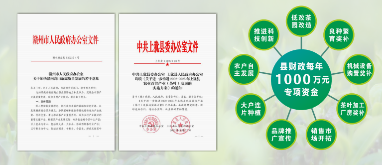 莲花茶叶高山富硒茶（莲花山茶种）-硒宝网