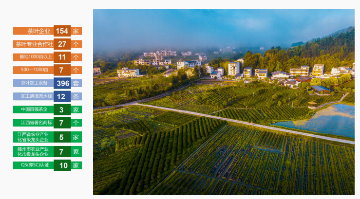 莲花茶叶高山富硒茶（莲花山茶种）-硒宝网