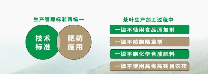 莲花茶叶高山富硒茶（莲花山茶种）-硒宝网