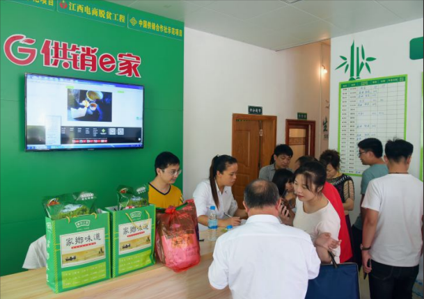 莲花茶叶高山富硒茶（莲花山茶种）-硒宝网