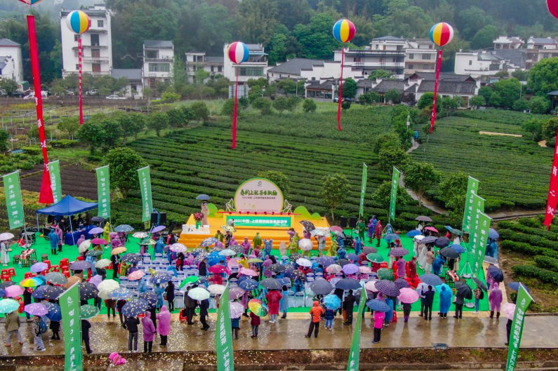莲花茶叶高山富硒茶（莲花山茶种）-硒宝网