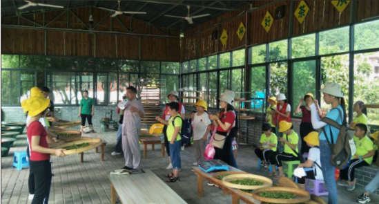 莲花茶叶高山富硒茶（莲花山茶种）-硒宝网