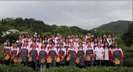 莲花茶叶高山富硒茶（莲花山茶种）-硒宝网