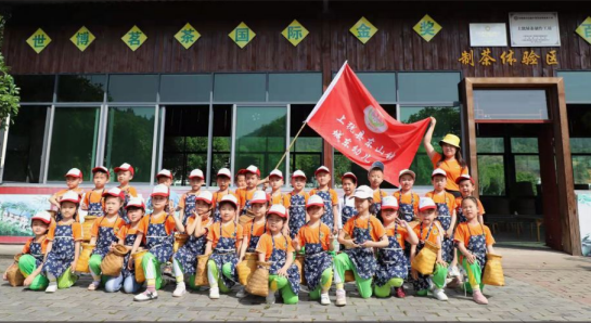 莲花茶叶高山富硒茶（莲花山茶种）-硒宝网