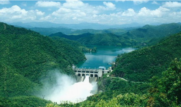 莲花茶叶高山富硒茶（莲花山茶种）-硒宝网