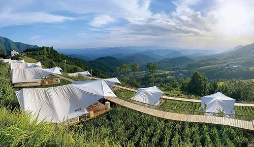 紫阳富硒茶数据分析（紫阳富硒茶山）-硒宝网