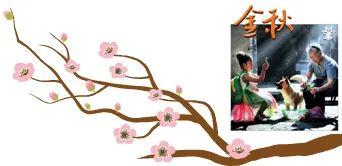 吃什么补铁最快最好(吃了补铁)-硒宝网