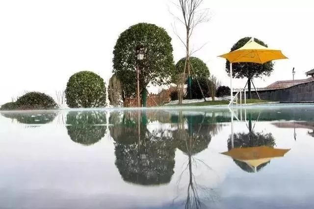 贵州富硒茶是那里的(贵州富硒茶多少钱一斤)-硒宝网