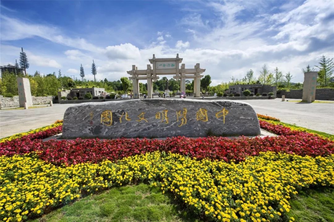 贵州富硒茶是那里的(贵州富硒茶多少钱一斤)-硒宝网