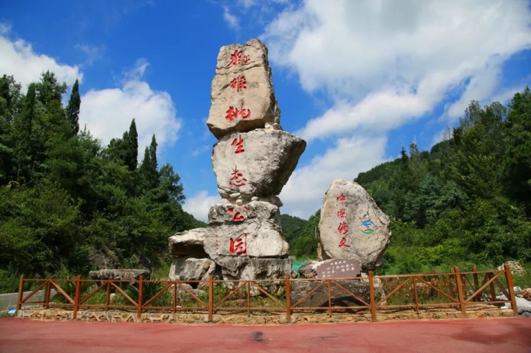 贵州富硒茶是那里的(贵州富硒茶多少钱一斤)-硒宝网