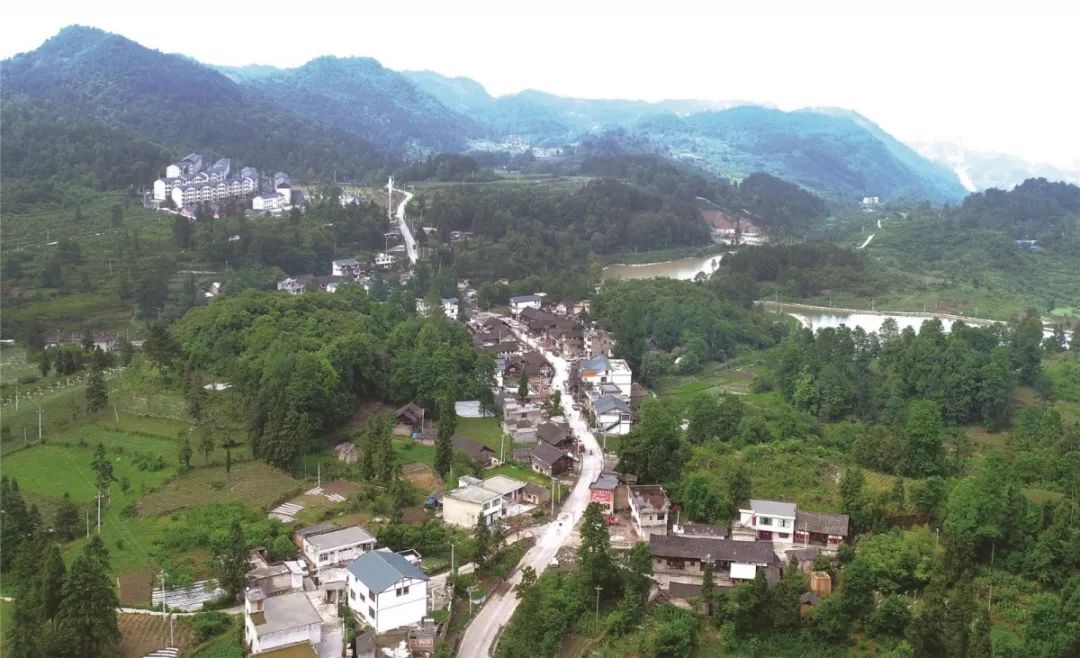 贵州富硒茶是那里的(贵州富硒茶多少钱一斤)-硒宝网