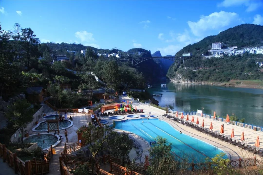 贵州富硒茶是那里的(贵州富硒茶多少钱一斤)-硒宝网