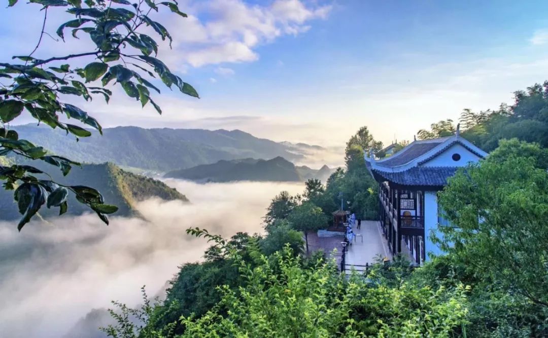 贵州富硒茶是那里的(贵州富硒茶多少钱一斤)-硒宝网