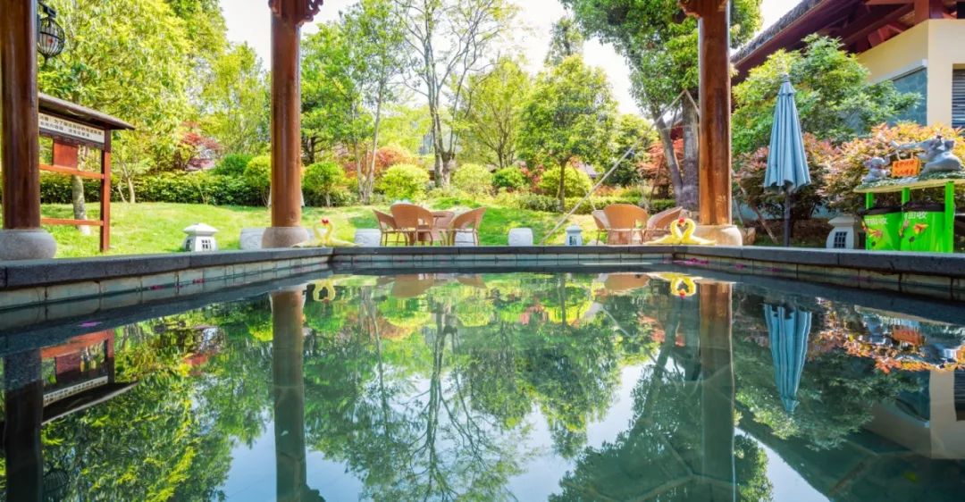 贵州富硒茶是那里的(贵州富硒茶多少钱一斤)-硒宝网