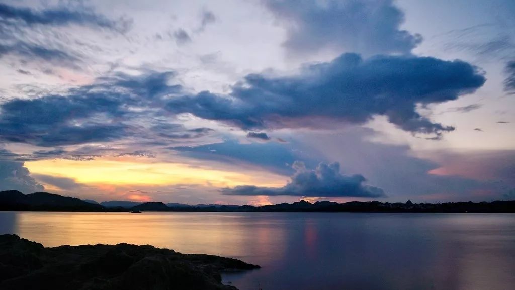 贵州富硒茶是那里的(贵州富硒茶多少钱一斤)-硒宝网