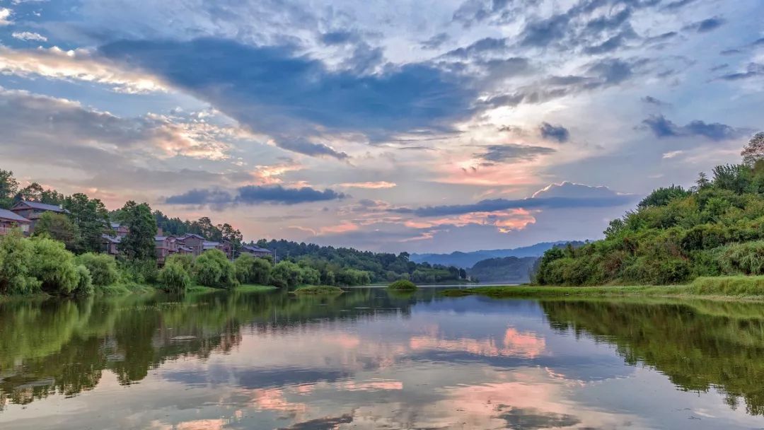贵州富硒茶是那里的(贵州富硒茶多少钱一斤)-硒宝网
