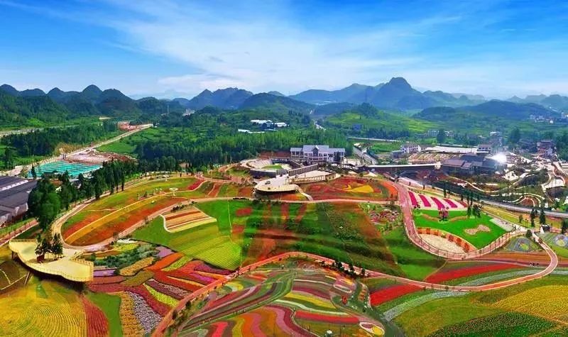 贵州富硒茶是那里的(贵州富硒茶多少钱一斤)-硒宝网