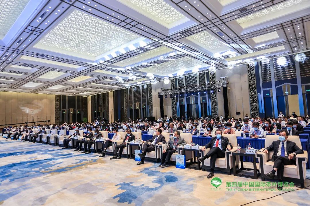 恩施富硒茶一茶一壶（恩施富硒茶文化的内涵有）-硒宝网