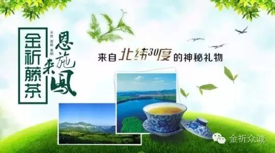 恩施富硒茶一茶一壶（恩施富硒茶厂）-硒宝网