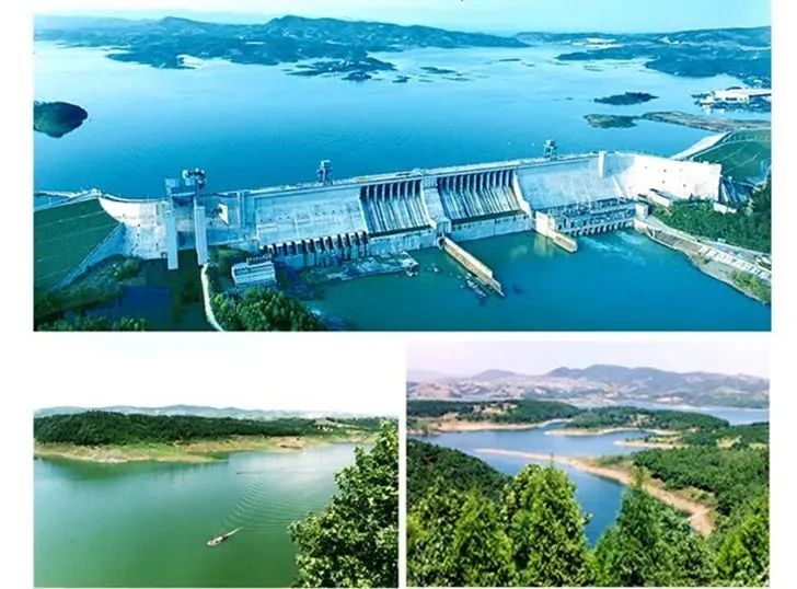 富硒藤茶特级多少钱(富硒藤茶是传销吗)-硒宝网