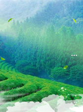 恩施富硒藤茶怎么样(恩施富硒藤茶有什么功效)-硒宝网