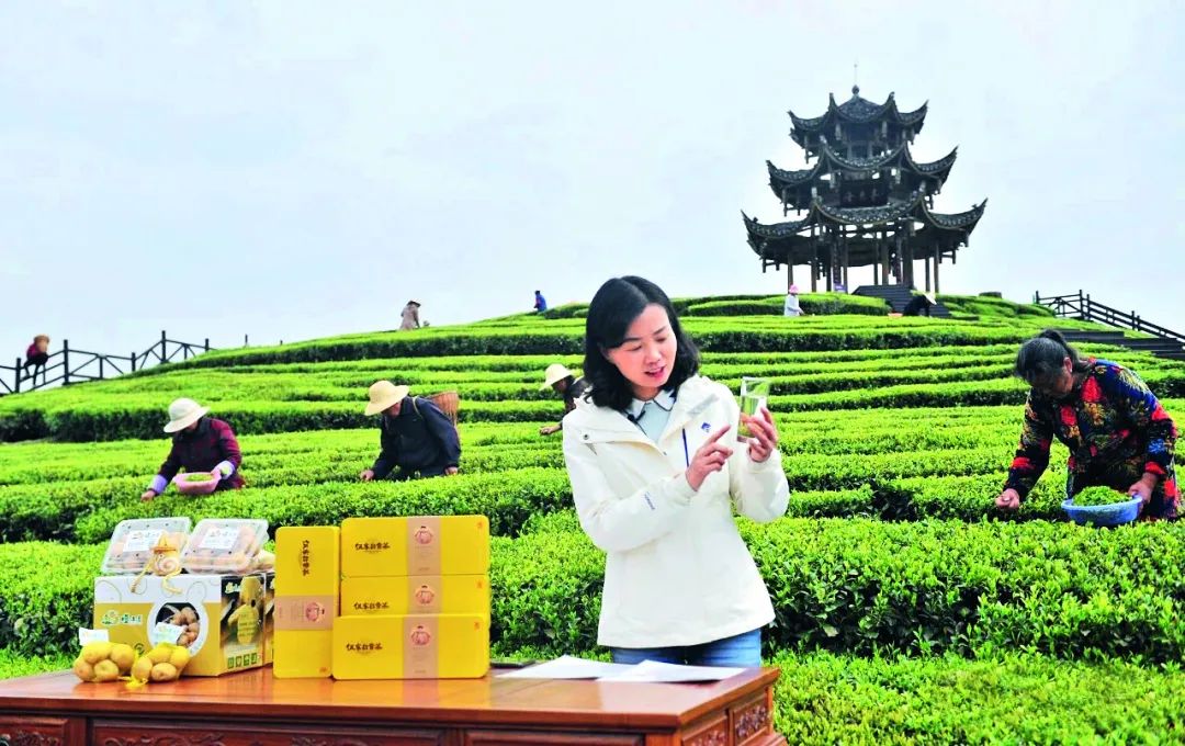 恩施州富硒茶的销路（恩施富硒茶市场定位分析）-硒宝网