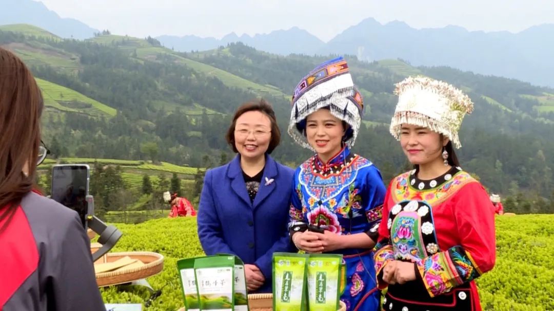 恩施州富硒茶的销路（恩施富硒茶市场定位分析）-硒宝网