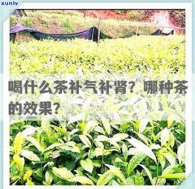 富硒茶多少度水冲泡(富硒水泡茶好吗)-硒宝网