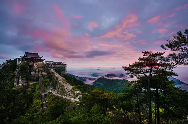 安徽仙寓山富硒野茶(安徽东至仙寓山野茶)-硒宝网