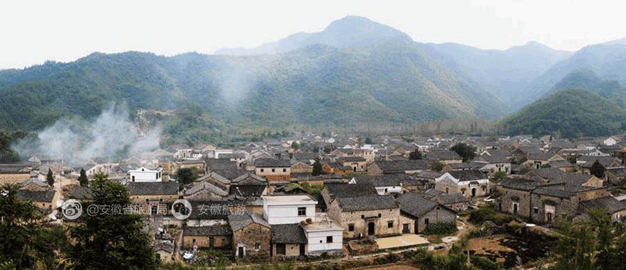 安徽仙寓山富硒野茶(安徽东至仙寓山野茶)-硒宝网