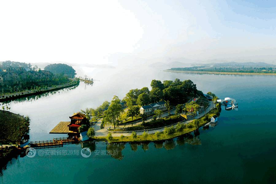 安徽仙寓山富硒野茶(安徽东至仙寓山野茶)-硒宝网