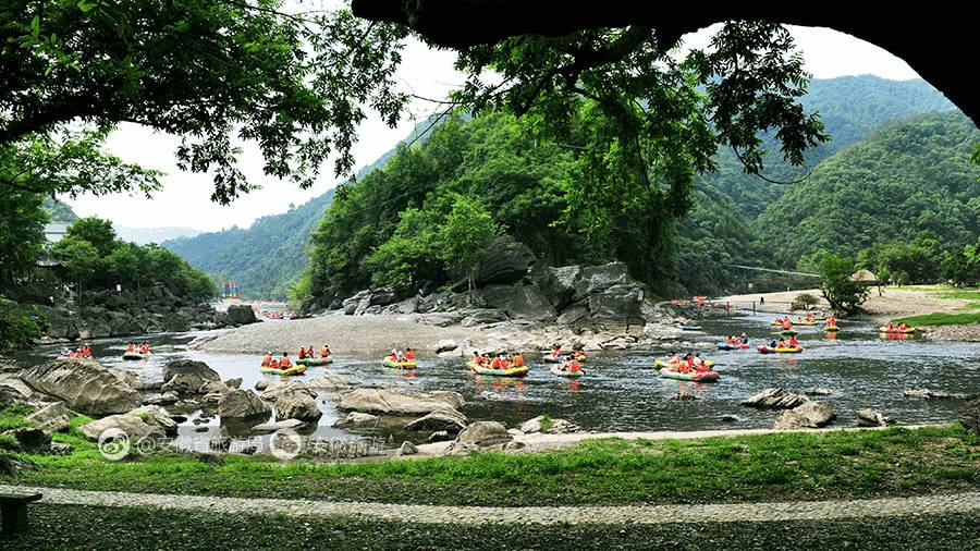 安徽仙寓山富硒野茶(安徽东至仙寓山野茶)-硒宝网