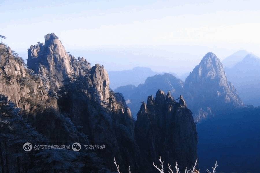 安徽仙寓山富硒野茶(安徽东至仙寓山野茶)-硒宝网