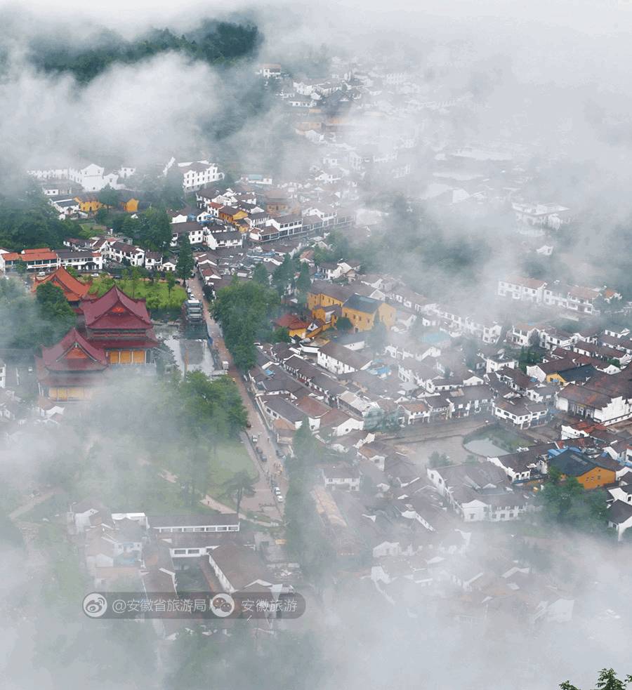 安徽仙寓山富硒野茶(安徽东至仙寓山野茶)-硒宝网