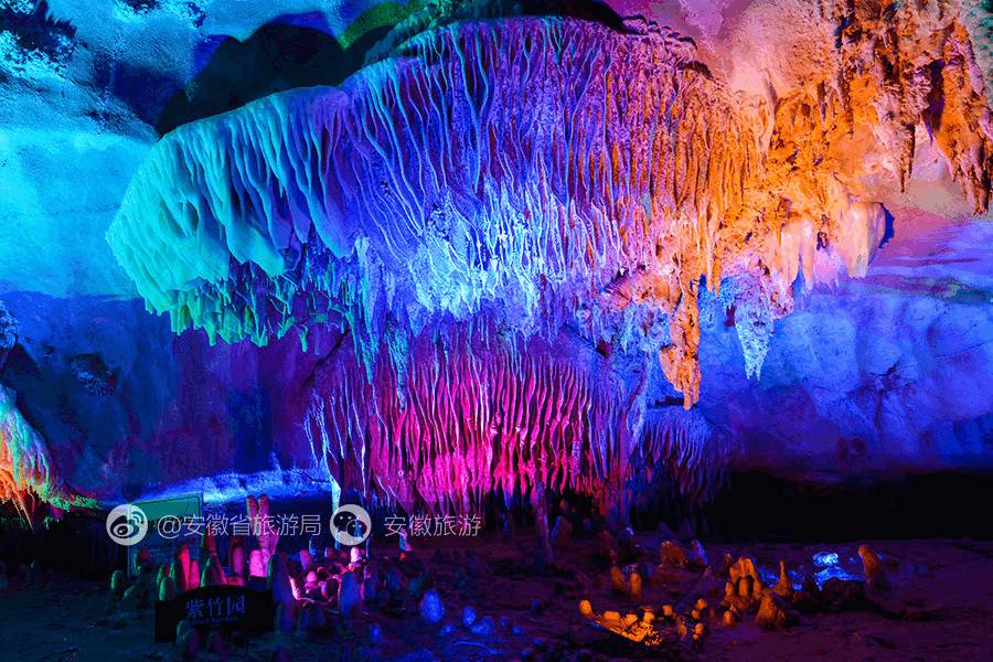 安徽仙寓山富硒野茶(安徽东至仙寓山野茶)-硒宝网