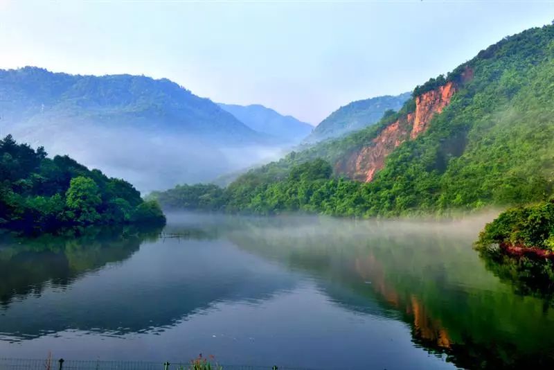 安徽仙寓山富硒野茶(安徽东至仙寓山野茶)-硒宝网