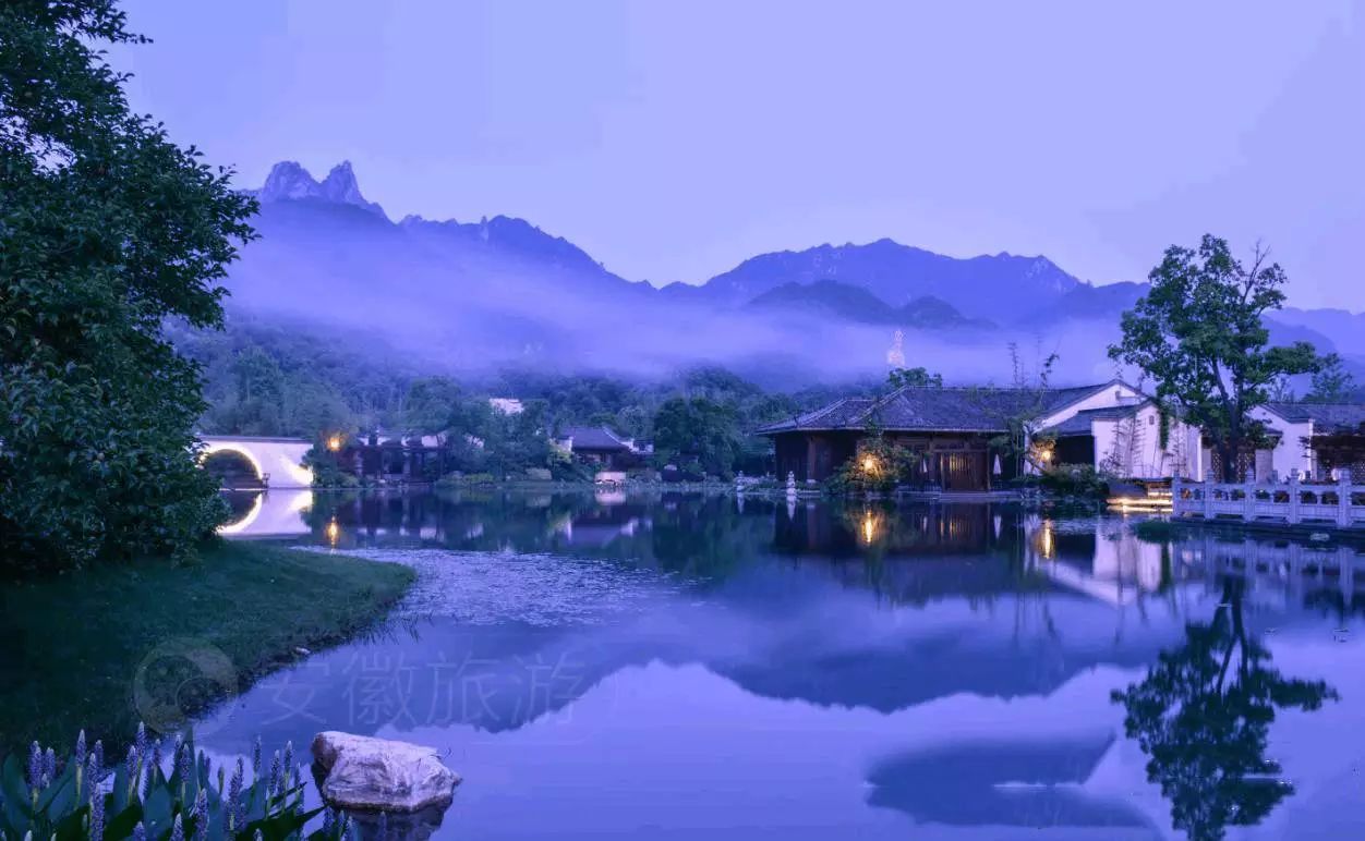 安徽仙寓山富硒野茶(安徽东至仙寓山野茶)-硒宝网