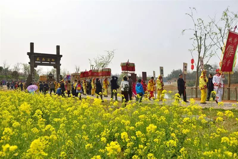 安徽仙寓山富硒野茶(安徽东至仙寓山野茶)-硒宝网