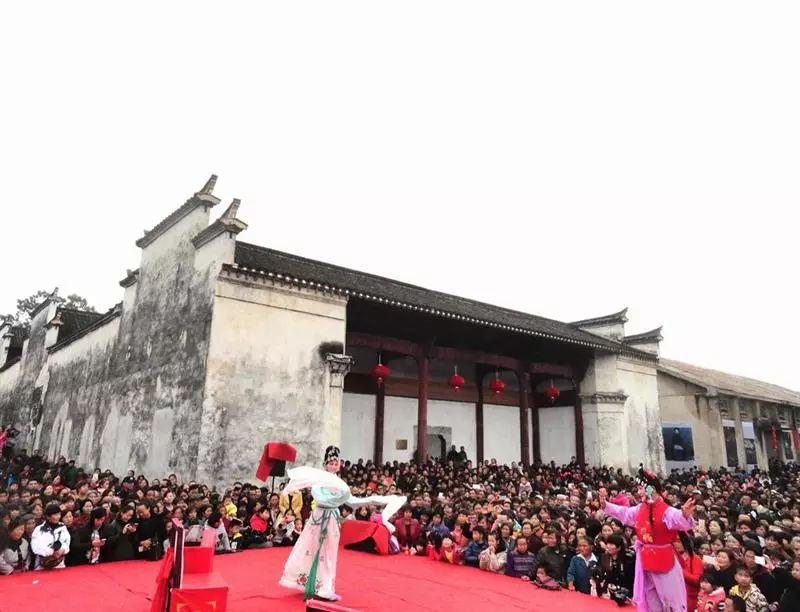 安徽仙寓山富硒野茶(安徽东至仙寓山野茶)-硒宝网