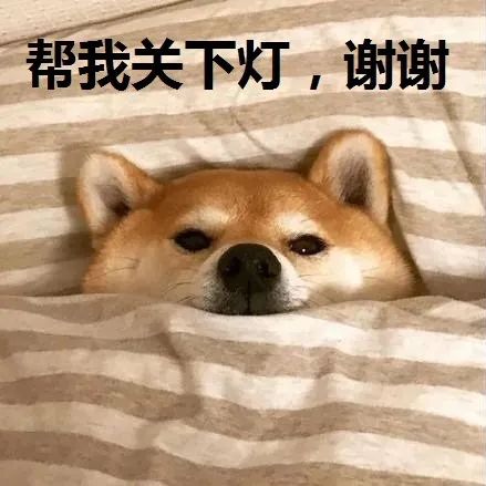 富硒茶啤酒生产厂家（富硒茶精酿啤酒介绍）-硒宝网