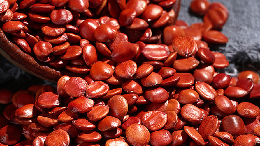 富硒茶啤酒生产厂家（富硒茶精酿啤酒介绍）-硒宝网