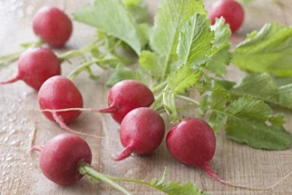 豆浆能补钙吗(豆浆能补钙码)-硒宝网