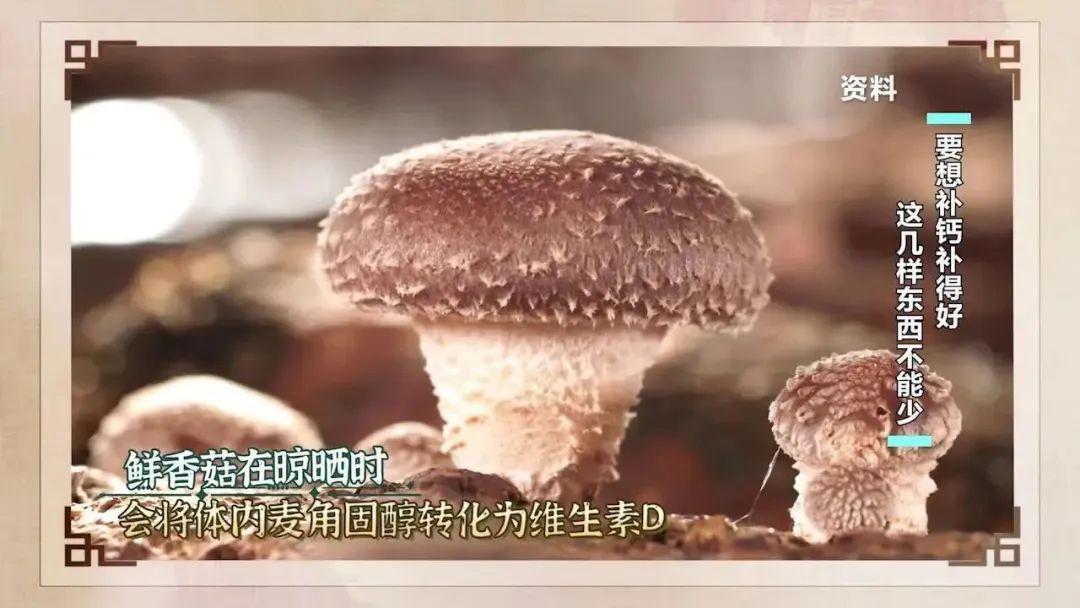 豆浆能补钙吗(豆浆能补钙效果比牛奶更好吗)-硒宝网