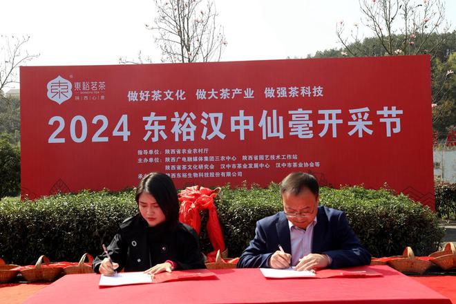 汉中仙毫属富硒茶吗(汉中仙毫茶的功效与作用)-硒宝网